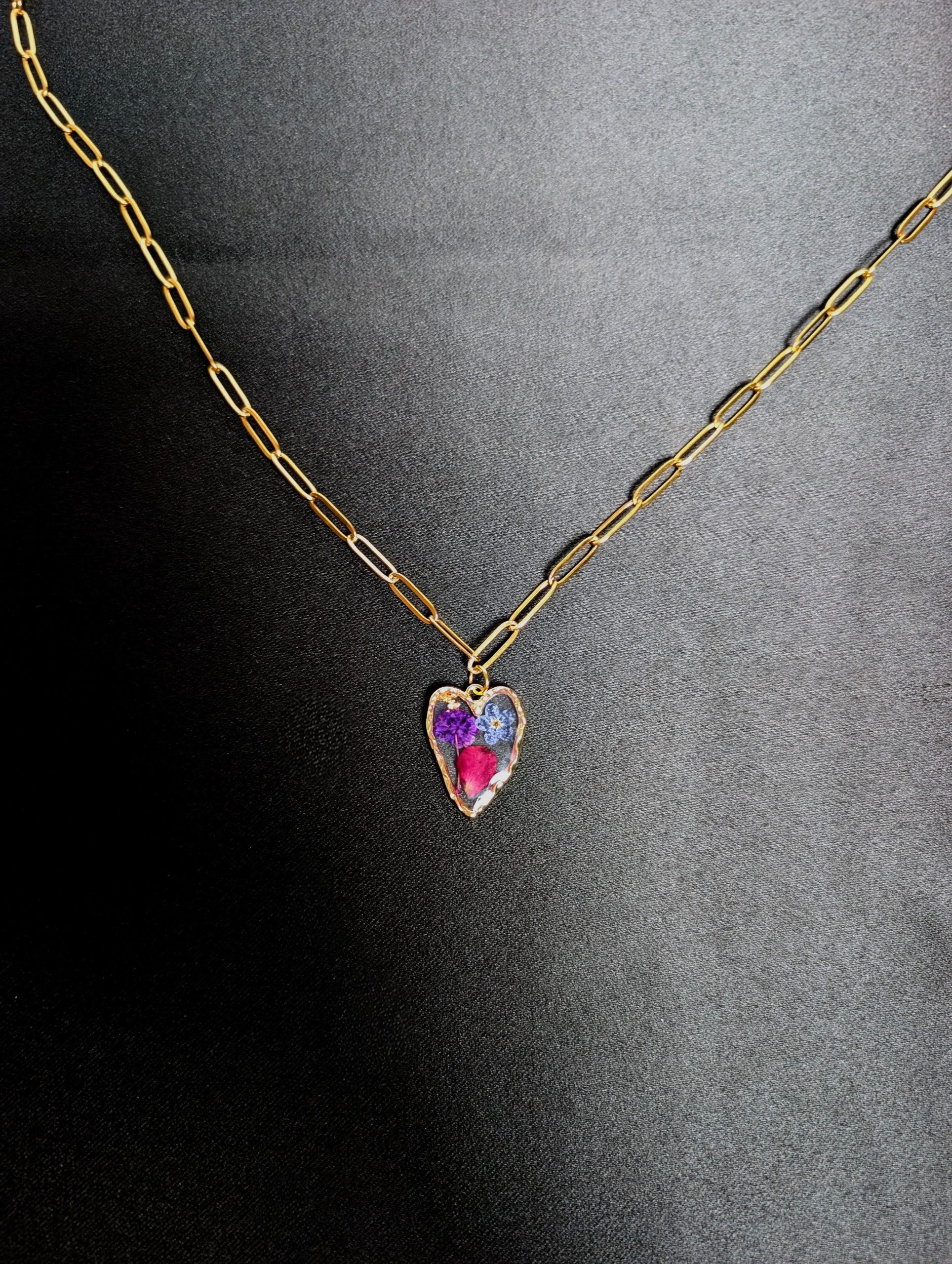 Viola – Image 3